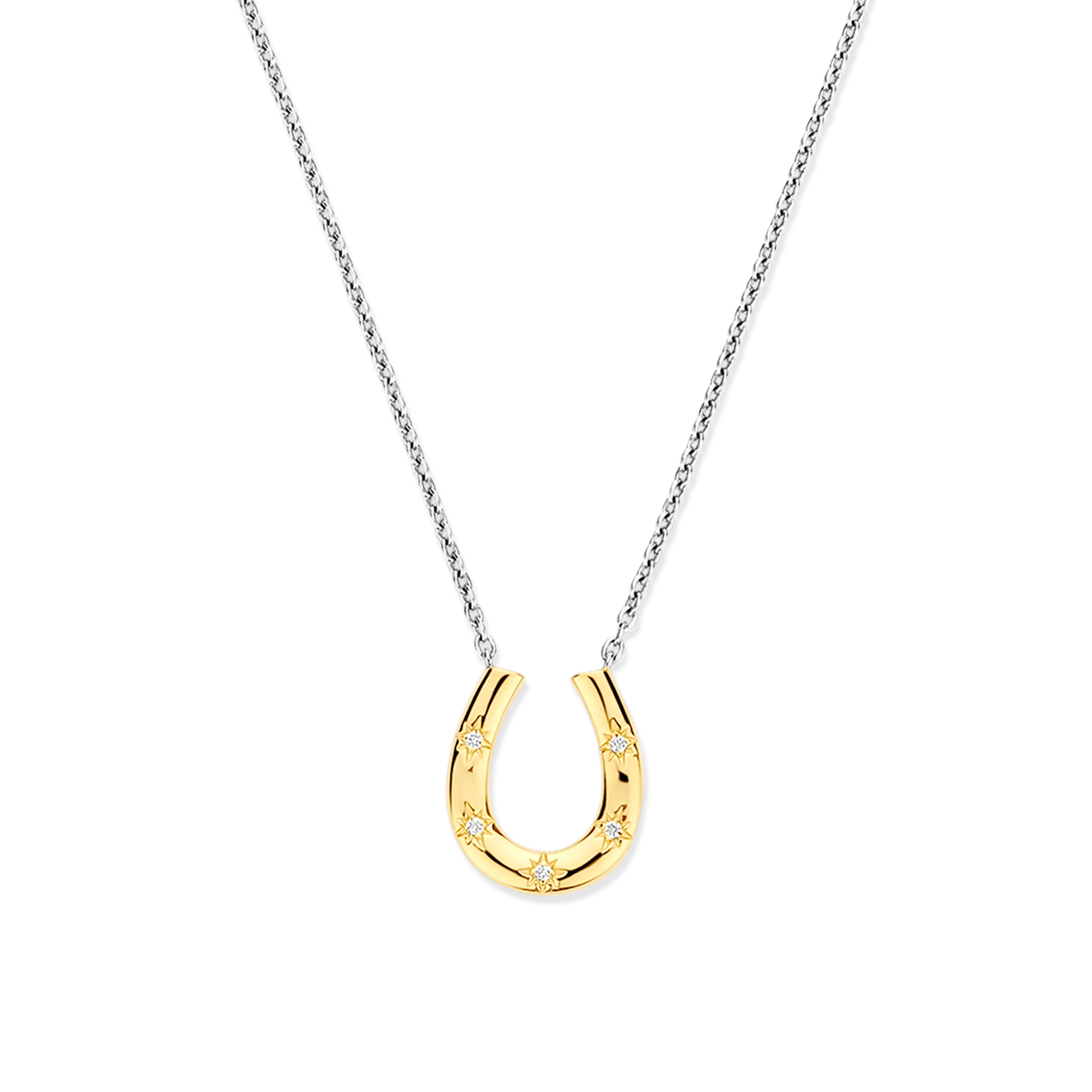 Hoefijzer Ketting