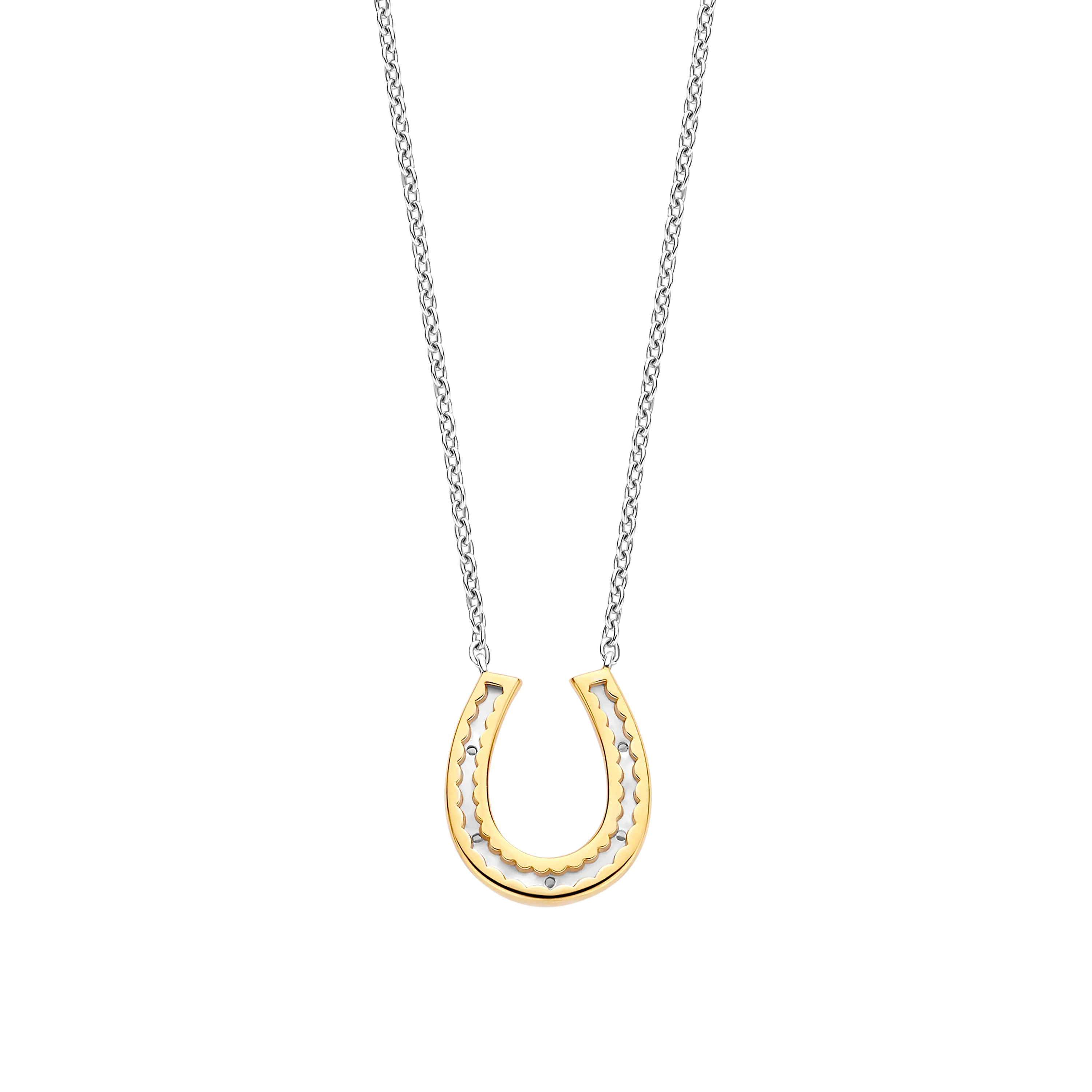 Hoefijzer Ketting - Image 3
