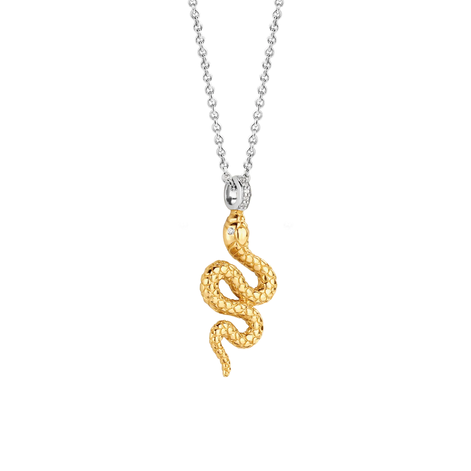 Snake Ketting - Image 5