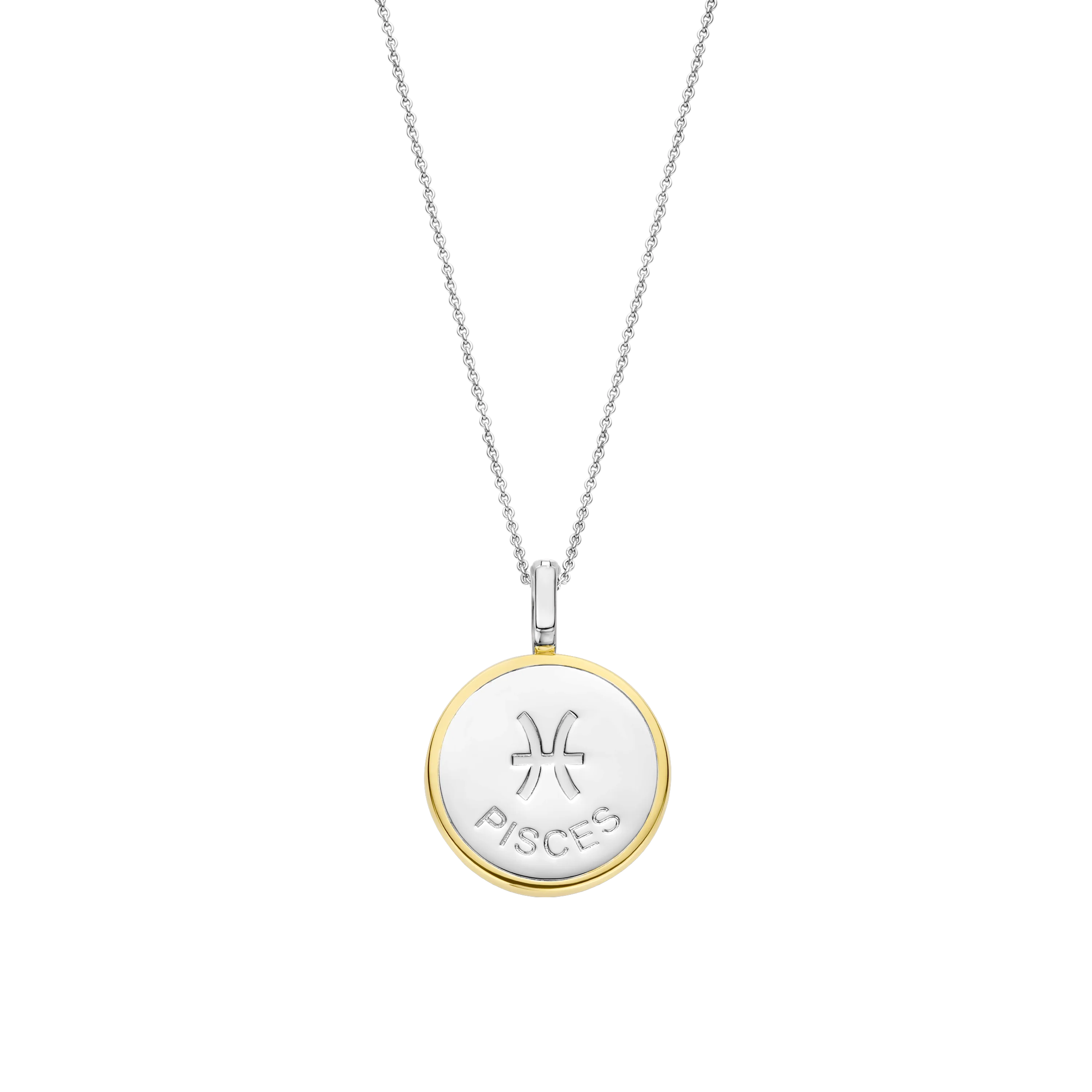 Sterrenbeeld Ketting met hanger - Vissen - Image 2